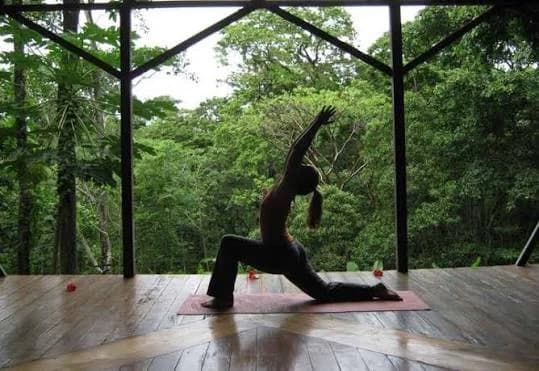 The covered yoga space, open to the jungle