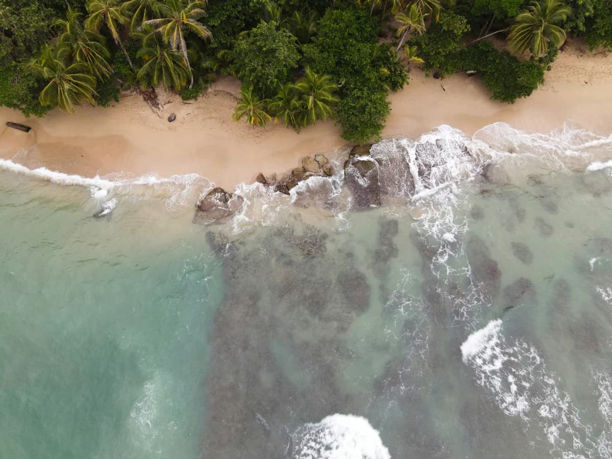 A wide view of the jungle and the Caribbean Sea around the retreat venue