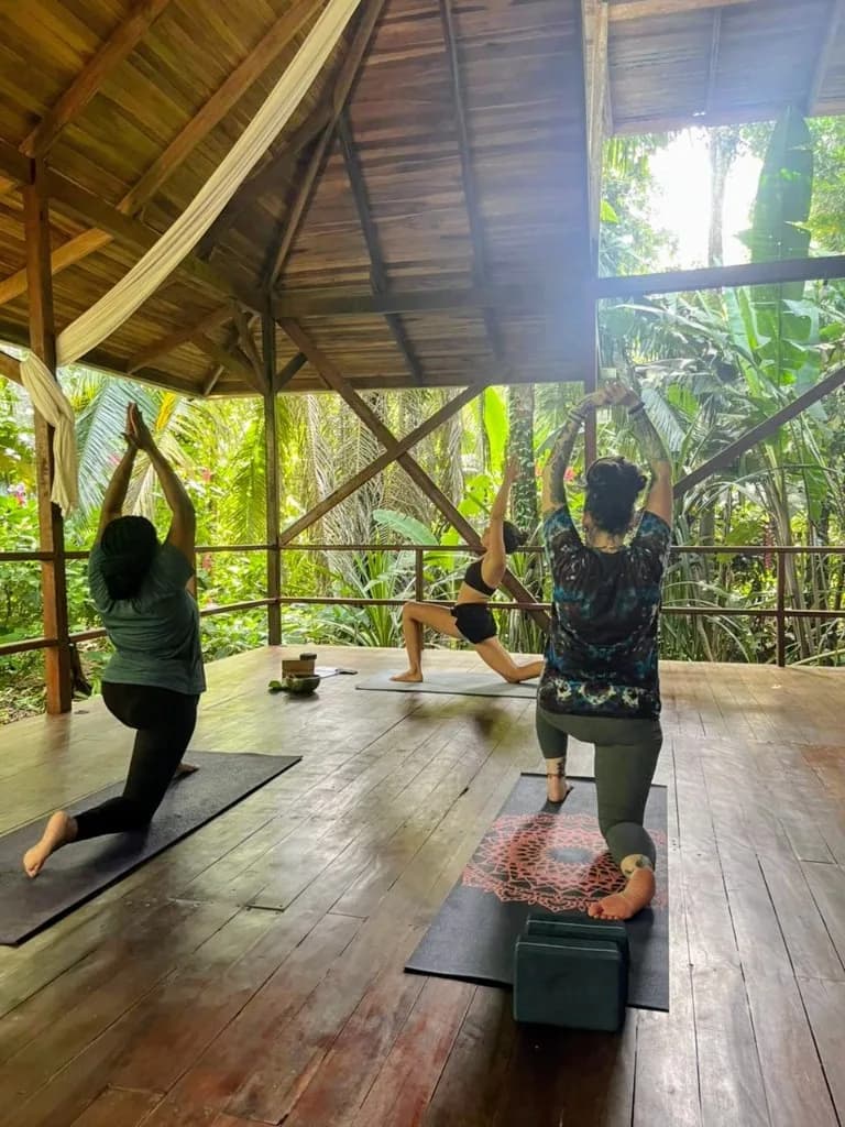 Three women in a low lunge in the shala, facing the jungle